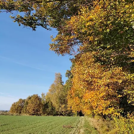 Hygge House Villa Zator