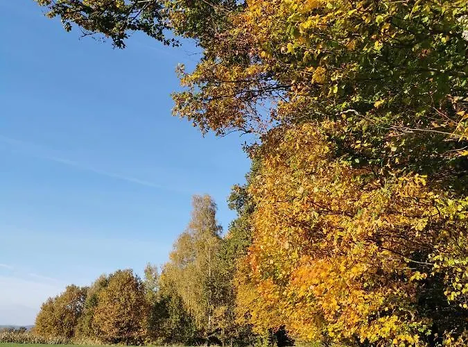 Hygge House Vila Zator